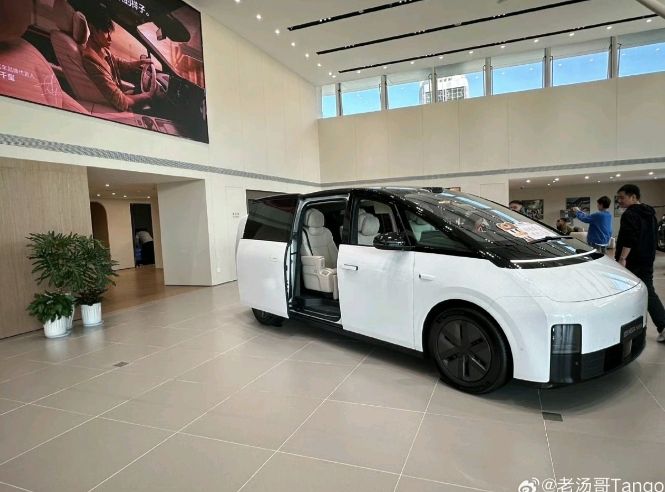Li Auto MEGA